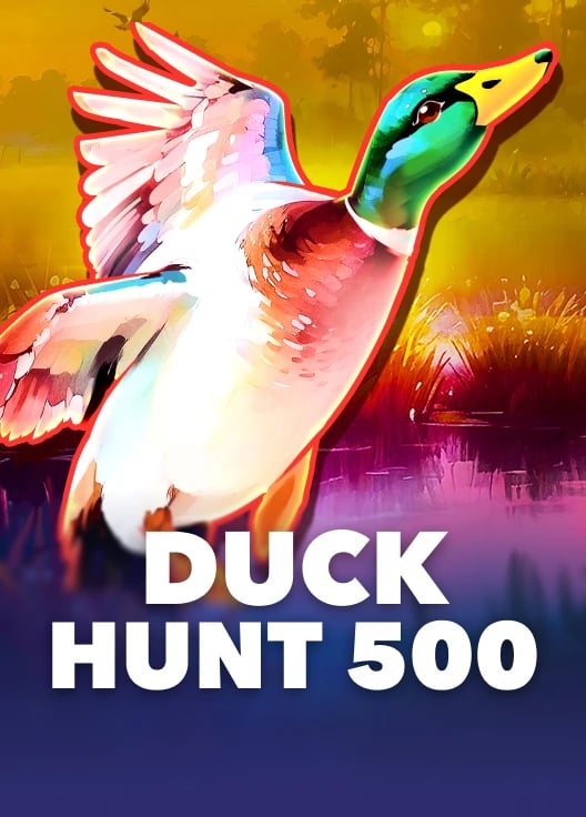 Duck Hunt 500