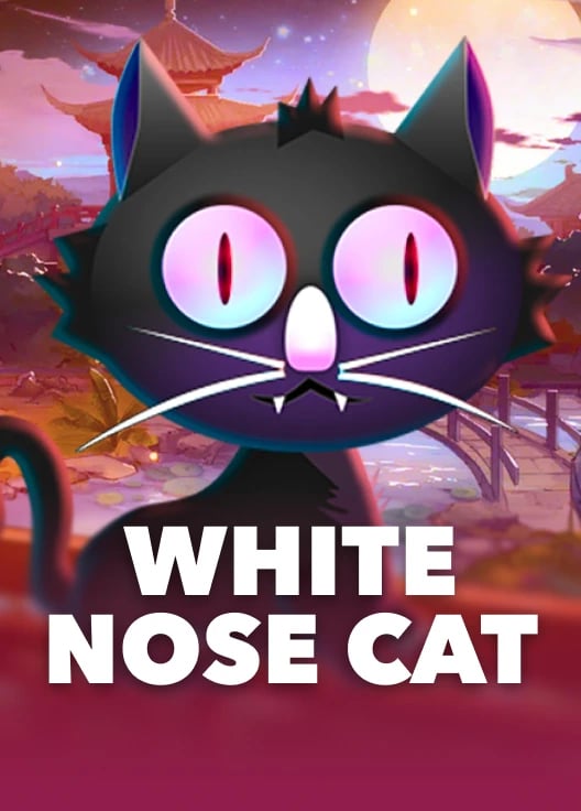 White Nose Cat